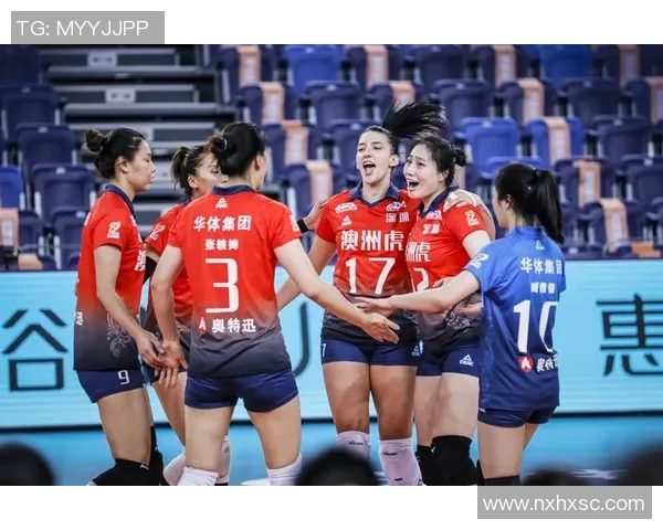 排球团队协作排行榜：深圳排球队位居第2名