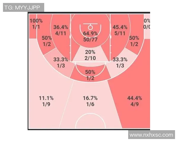 数据分析：深圳篮球队的力量表现